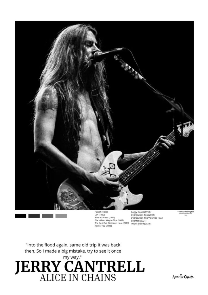 Jerry Cantrell - Alice in Chains